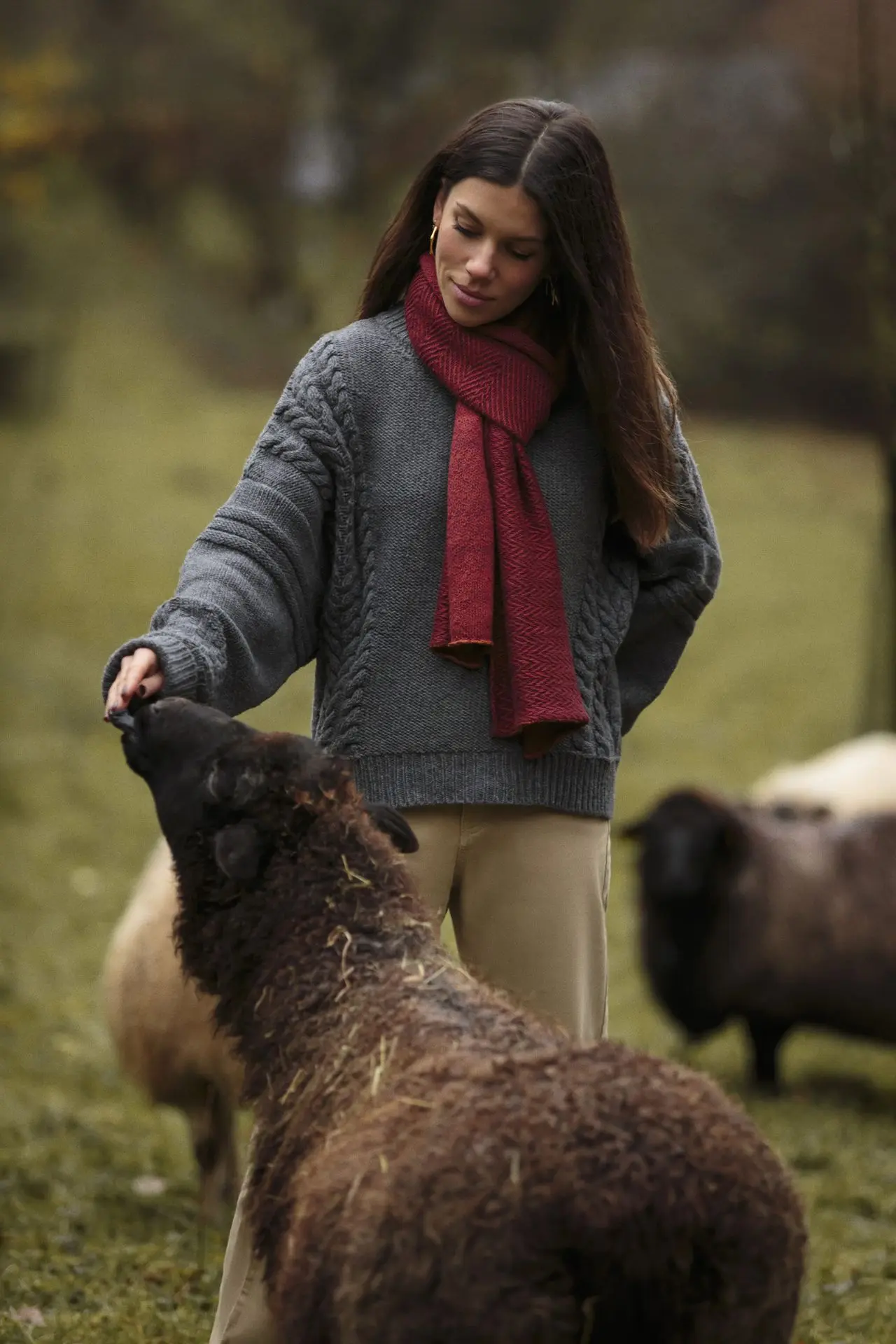 Foto van een Mergelland-schaap dat gebruikt wordt voor de ethische gekaarde wolspin van Design for Resilience. Schaap in een weiland dat een traktatie aan het eten is met Émilie die een van onze gebreide sjaals van linnen en upcycled zijde draagt.