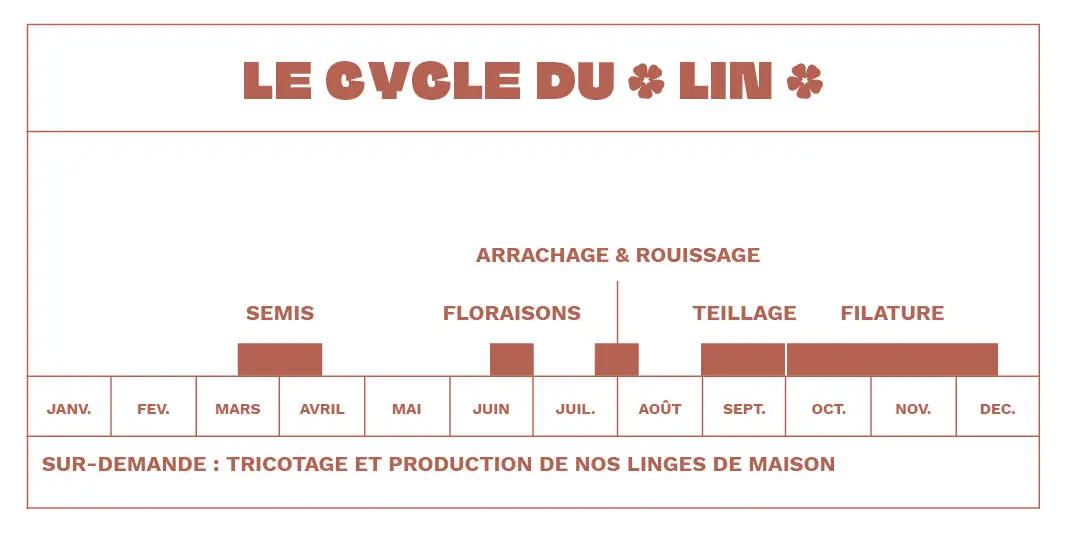 Schéma sur le cycle du lin