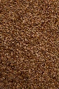 _MG_9931-graines-de-lin.webp