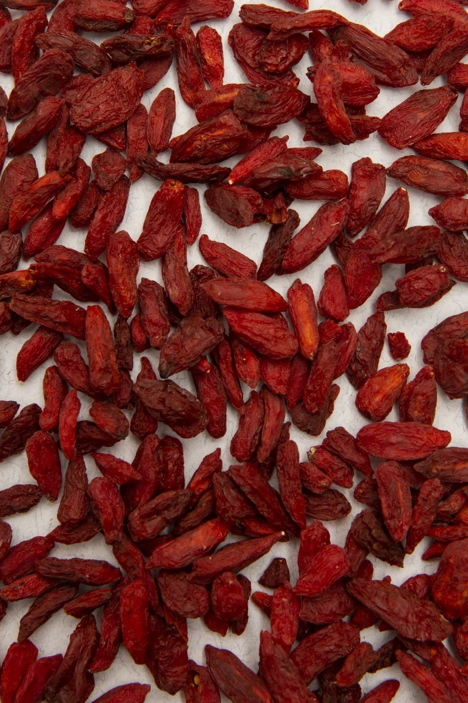 _MG_9920-Baies-de-Goji.webp